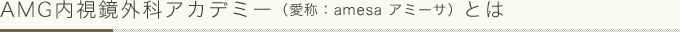 AMG内視鏡外科アカデミー（愛称：amesa アミーサ）とは