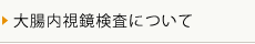 大腸内視鏡検査について