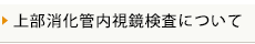 上部消化管内視鏡検査について