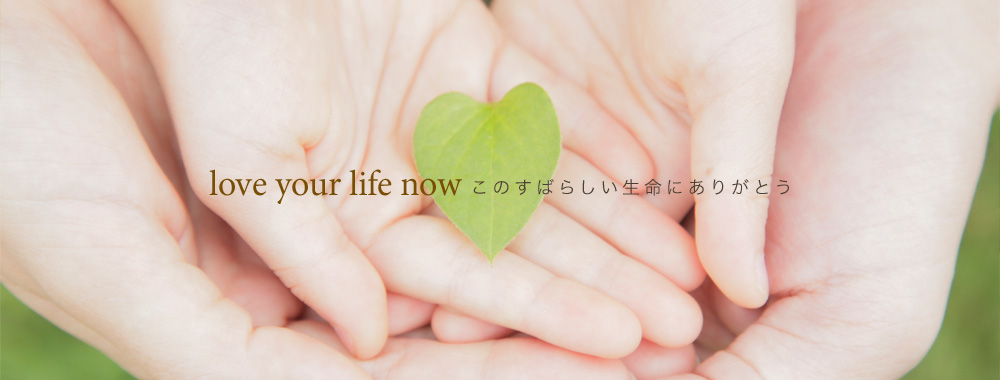 love your life now このすばらしい生命にありがとう